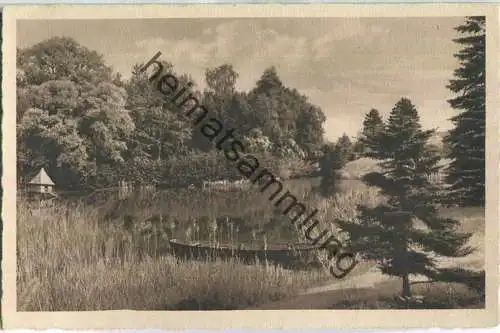 Botanischer Garten - Berlin-Dahlem - Teich mit Röhricht und Nadelhölzern - Verlag J. Wieland & Co. Berlin
