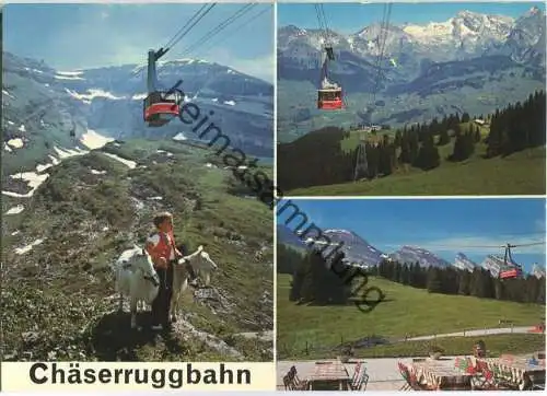 Chäserruggbahn - Iltios-Chäserrugg - Ziegen - Geisse - Verlag Foto-Gross St. Gallen