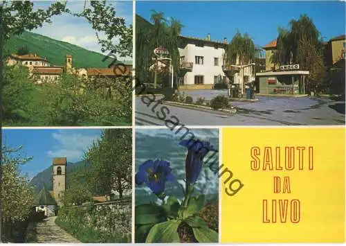 Saluti da Livo - Val di Non - Tankstelle Amoco - Ediz. Foto Ghedina