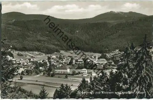 Bodenmais - Foto-Ansichtskarte - Cramers Kunstverlag KG Dortmund 60er Jahre