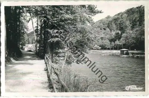 Bergzabern Weinstrasse - Schwanenweiher - Foto-Ansichtskarte - Verlag Photo-Bücheler Bergzabern
