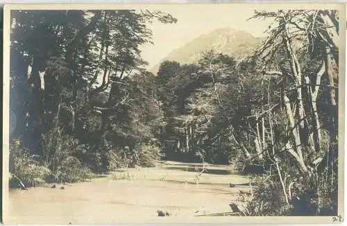 Vina del Mar - Lago Manuel Huagi - Foto-AK