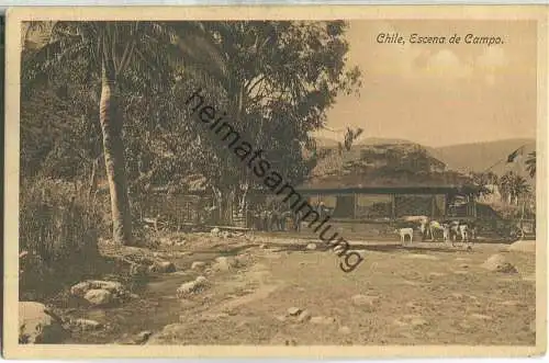 Escena de Campo - Verlag Mattensohn & Grimm Valparaiso