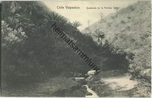 Valparaiso - Quebrada de les Palmas - Verlag Carlos F. Niemeyer Valparaiso - ca. 1920