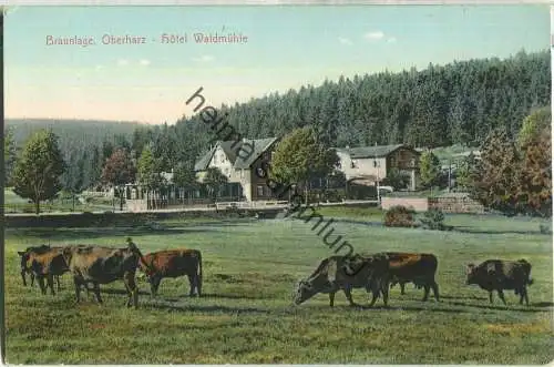 Braunlage - Hotel Waldmühle - Verlag Stengel & Co Dresden