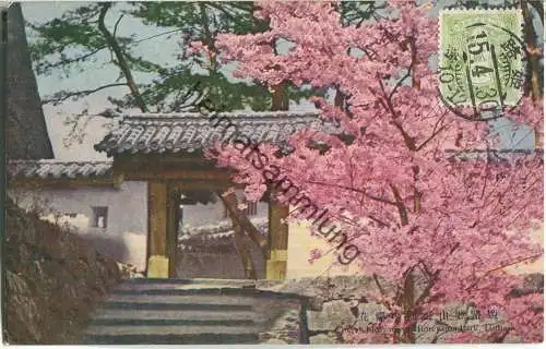 Himeji - Cherry blossom in Himeyama Park - Japan ca. 1920