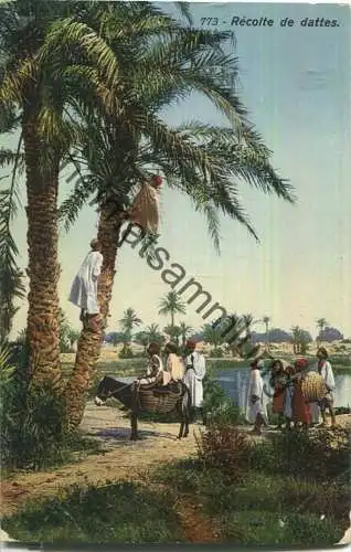 Türkisch-orientalische Typen - Die Dattelernte - Verlag Lehnert & Landrock - Feldpost Mil. Miss. Konstantinopel