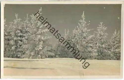 Furtwangen - Rabenhöhe - Foto-Ansichtskarte ohne Verlagsangabe - 20er Jahre