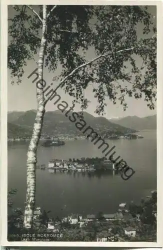Isole Borromee - Lago Maggiore - Foto-Ansichtskarte - Verlag Brunner & C. Como