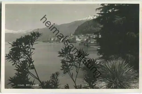 Bellagio - Foto-Ansichtskarte 30er Jahre - Ediz. Brunner & C. Como
