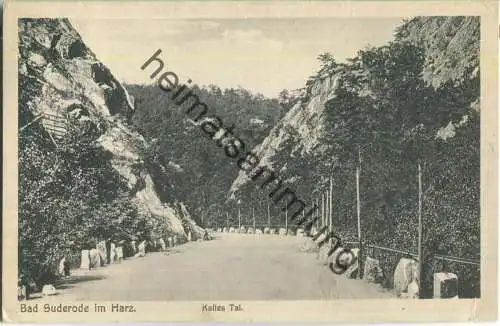 Bad Suderode im Harz - Kaltes Tal - Verlag R. Lederbogen Halberstadt