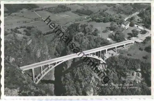 Route de Salvan - Le Pont du Gueuroz - Foto-Ansichtskarte - Edition Perrochet Lausanne