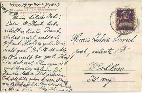 Engadin - Berninagruppe - Zwergvergissmeinnicht