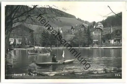 Aspang - Teich - Foto-Ansichtskarte - Verlag A. Pelnitschar Aspang