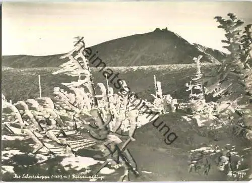 Die Schneekoppe - Riesengebirge - Popp-Verlag Heidelberg - Einzelhandabzug
