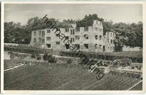 Oppenheim - Ruine Landskrone - Foto-Ansichtskarte - Verlag Peter Walter Litzelstetten
