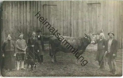 Stier - Stolze Bauernfamilie - Foto-Ansichtskarte