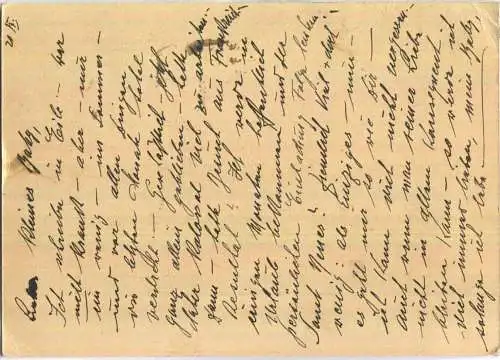 Ganzsache - Vue de Busteni