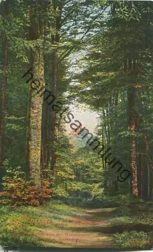 Blick von Hohensonne nach Wartburg - Verlag C. Jagemann Eisenach