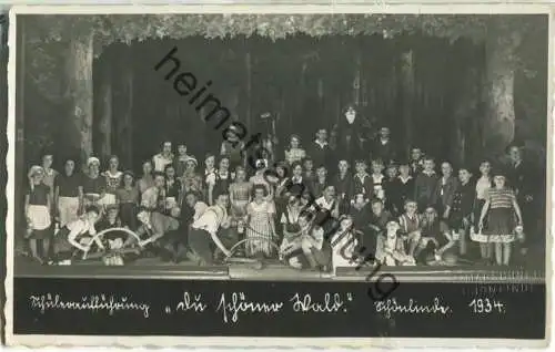 Schönlinde - Krasna Lipa - Schüleraufführung - Foto-Ansichtskarte - Du schöner Wald - Verlag M. Marschner Schönlinde