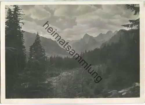 Tatra - Roztoka - Foto-Ansichtskarte - Verlag Akropol Krakau