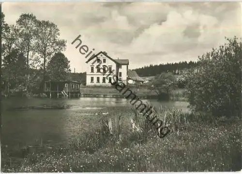 Doubice - Daubitz -  Foto-AK - Verlag Nakladatelstvi Orbis Praha
