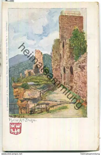 Ruine Alt-Dahn - Verlag C. Andelfinger & Cie München N° 3059 ca. 1900