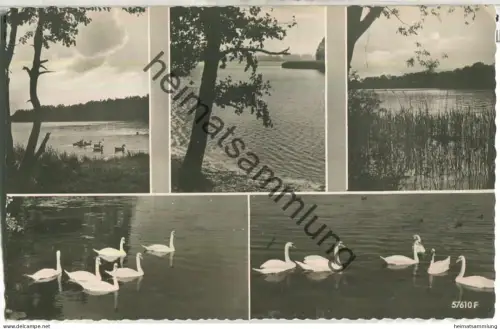 Gruss vom Tegeler See - Verlag Herbert Meyerheim Berlin 50er Jahre