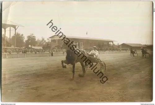 Traber - Trabrennen - Foto keine AK Grösse 10cm x 15cm - Werbung Pschorr Bräu
