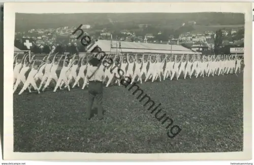 58. Eidgenössisches Turnfest in Genf 1925 - Foto-Ansichtskarte