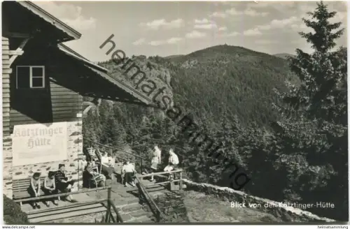 Blick von der Kötztinger-Hütte - Foto-AK - Verlag Löwenhag Marktredwitz