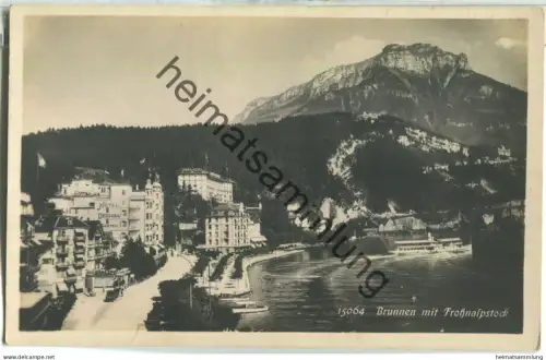 Brunnen mit Frohnalpstock - Foto-Ansichtskarte - Verlag Wehrli AG Kilchberg