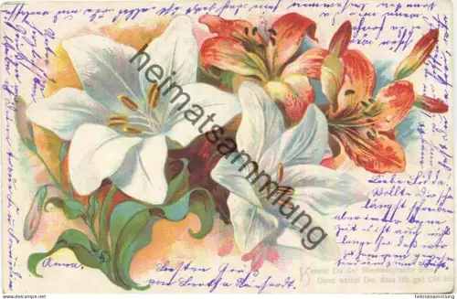Blumen - Lilien - Blumensprache - gel. 1905