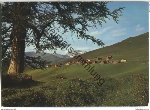 Mädrigen - Medergen - Verlag Foto Homberger Arosa