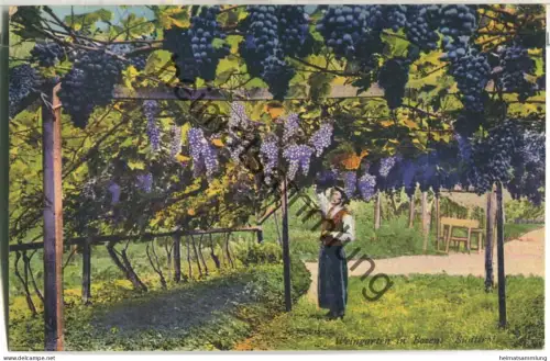 Weingarten in Bozen - Verlag Joh. F. Amonn Bozen