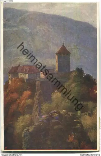 Schloss Tirol bei Meran - Verlag des Vereins Südmark Karte Nr. 202 - Vignette Bund für den Fahnenfond Wiener Zertifikat.