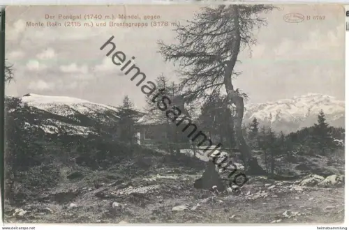Der Penegal - Mendel gegen Monte Roen und Brentagruppe - Verlag Joh. F. Amonn Bozen