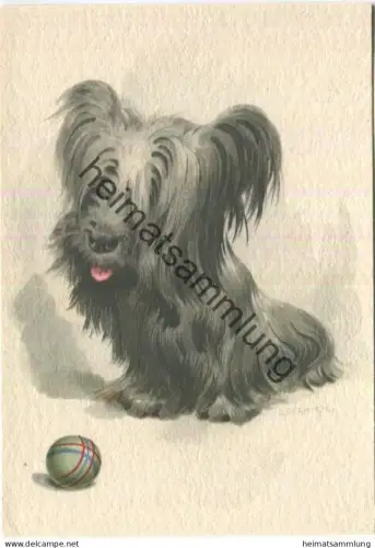 Terrier - Künstlerkarte E. Dermitzel - Kunstverlag E. A. Schwerdtfeger & Co. AG Berlin