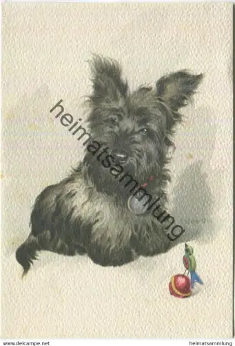 Terrier - Künstlerkarte E. Dermitzel - Kunstverlag E. A. Schwerdtfeger & Co. AG Berlin