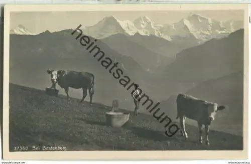 Bei Beatenberg - Foto-Ansichtskarte - Verlag Wehrli AG Kilchberg
