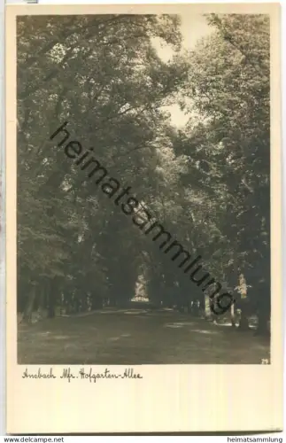 Ansbach - Hofgarten-Allee - Foto-Ansichtskarte - Verlag F. H. Dennerlein Nürnberg