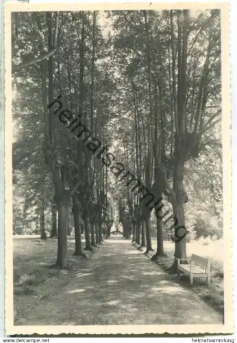 Bad Wilsnack - Park - Foto-Ansichtskarte ohne AK-Einteilung