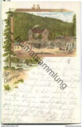 Okertal - Waldhaus - Verlag Wehrt Braunschweig - gel. 1897