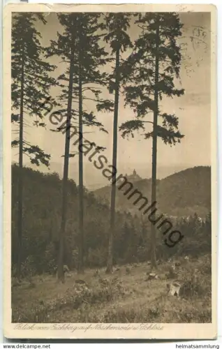 Nöschenrode - Schloss