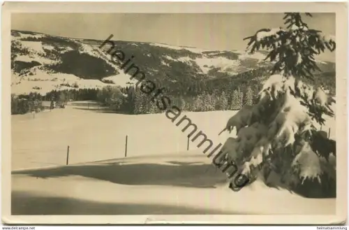 Sumava - Böhmerwald - Hojsova Straz - Foto-AK gel.