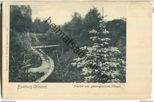 Hamburg Ohlsdorf - Partie am geologischen Hügel - Verlag E. Ehmling Hamburg ca. 1900