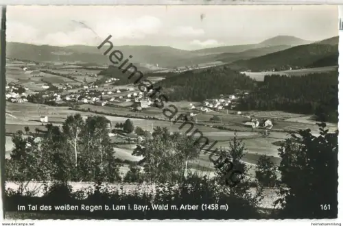 Im Tal des weissen Regen bei Lam - Foto-Ansichtskarte - Verlag Franz Geiger München-Pasing - gel. 1966