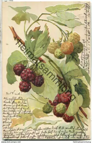 Brombeeren - Prägedruck - gel. 1904