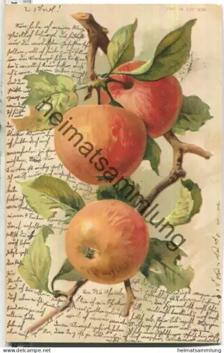 Äpfel - Prägedruck - gel. 1904
