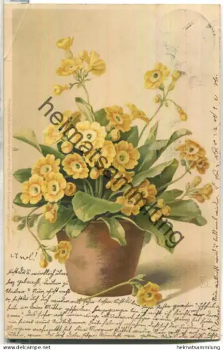 Schlüsselblumen in einer Vase signiert MB - Meissner & Buch Leipzig Serie 1240 - gel. 1904